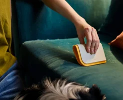 Outil Pour enlever Les Poils D'Animaux 3-en-1 en Silicone Cleantech™